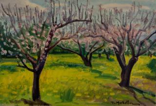 Blossoming Apricot Trees in My Estate — Oil painting, Canvas, 38.00×55.00cm — Theodoros Markellos